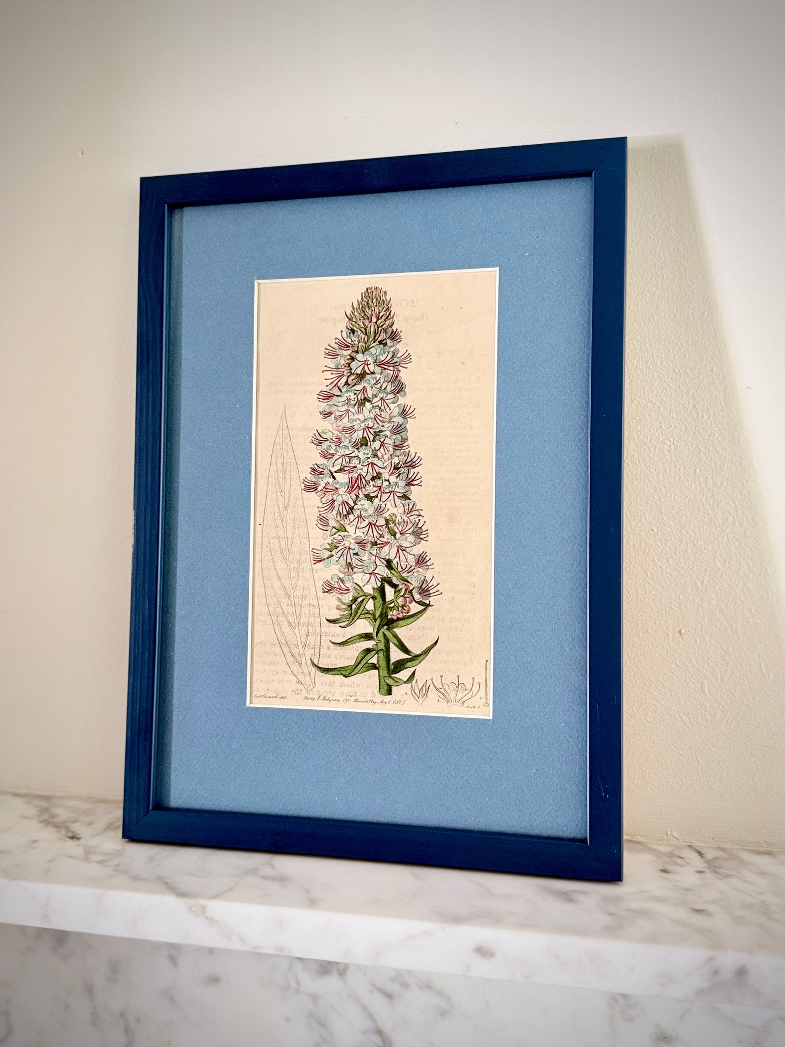 Blue Spire by Found Art-Found Art-Poster Child Prints