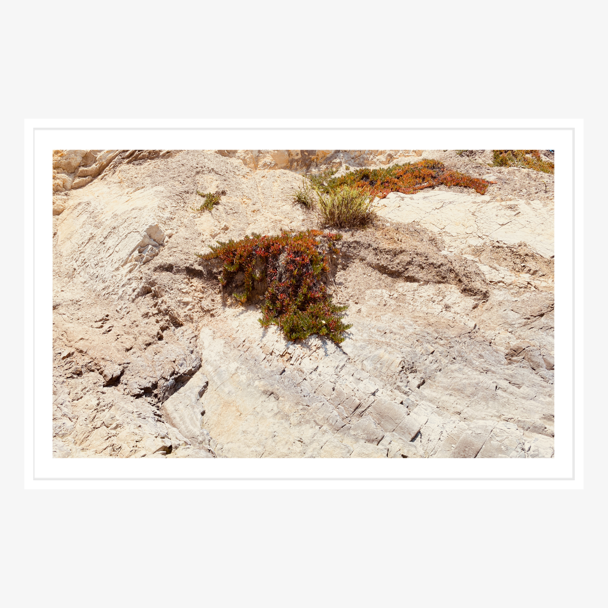 Coastal Terrain by Collection-Studio Editions-Poster Child Prints