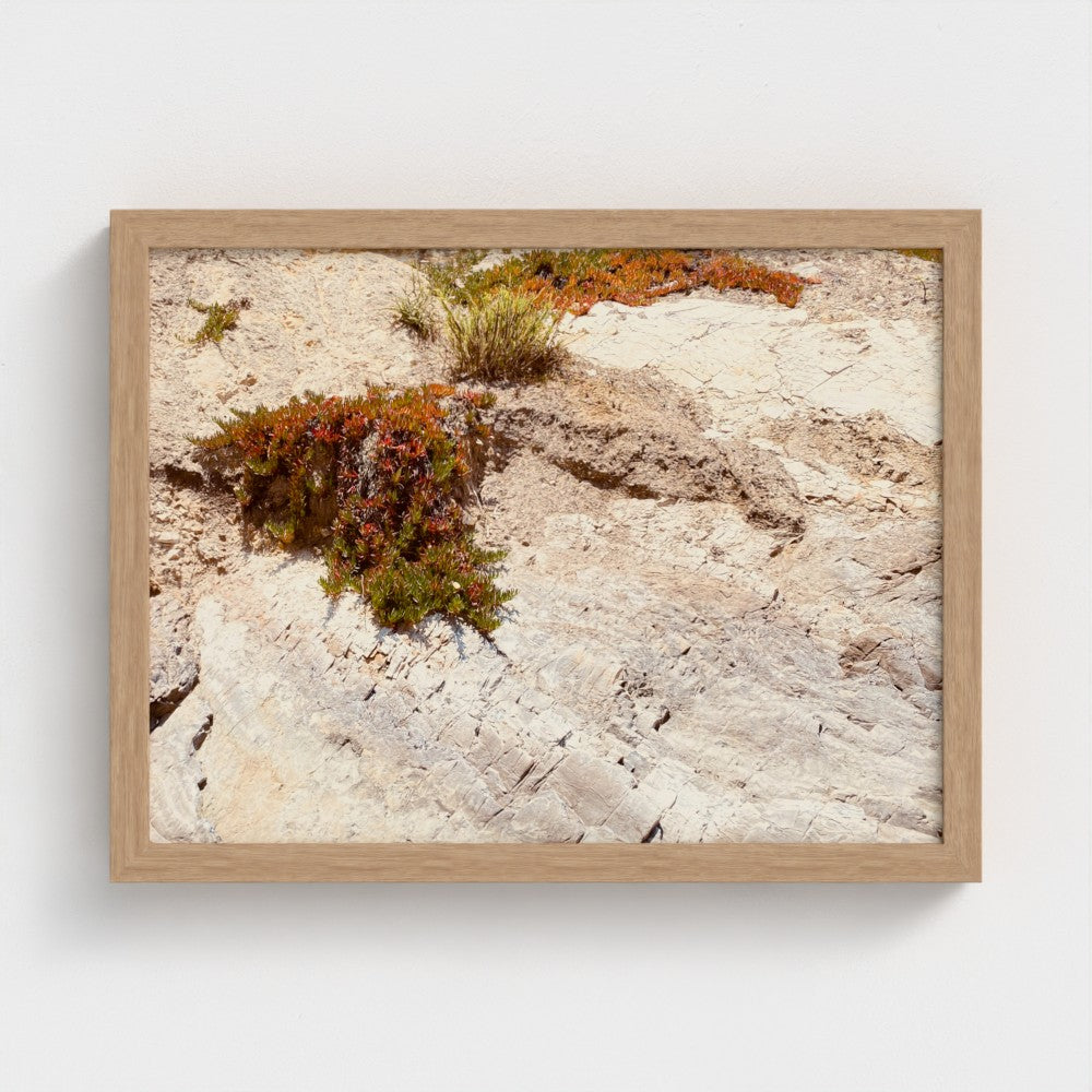 Coastal Terrain by Collection-Studio Editions-Poster Child Prints