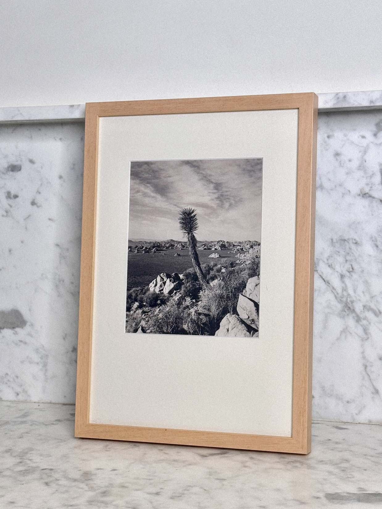 Desert Sentinel by Found Art-Found Art-Poster Child Prints