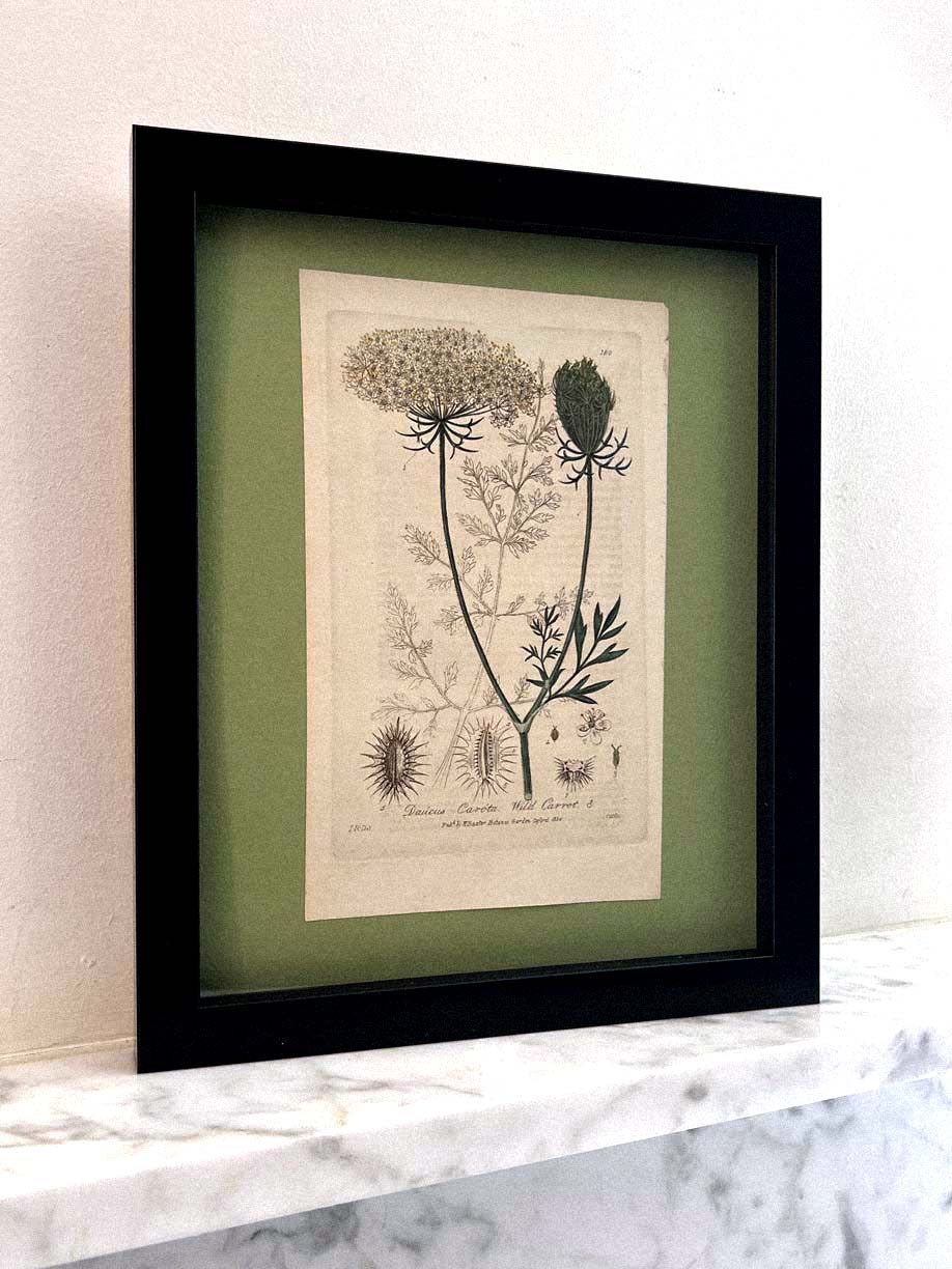 Dauicus by Found Art-Found Art-Poster Child Prints