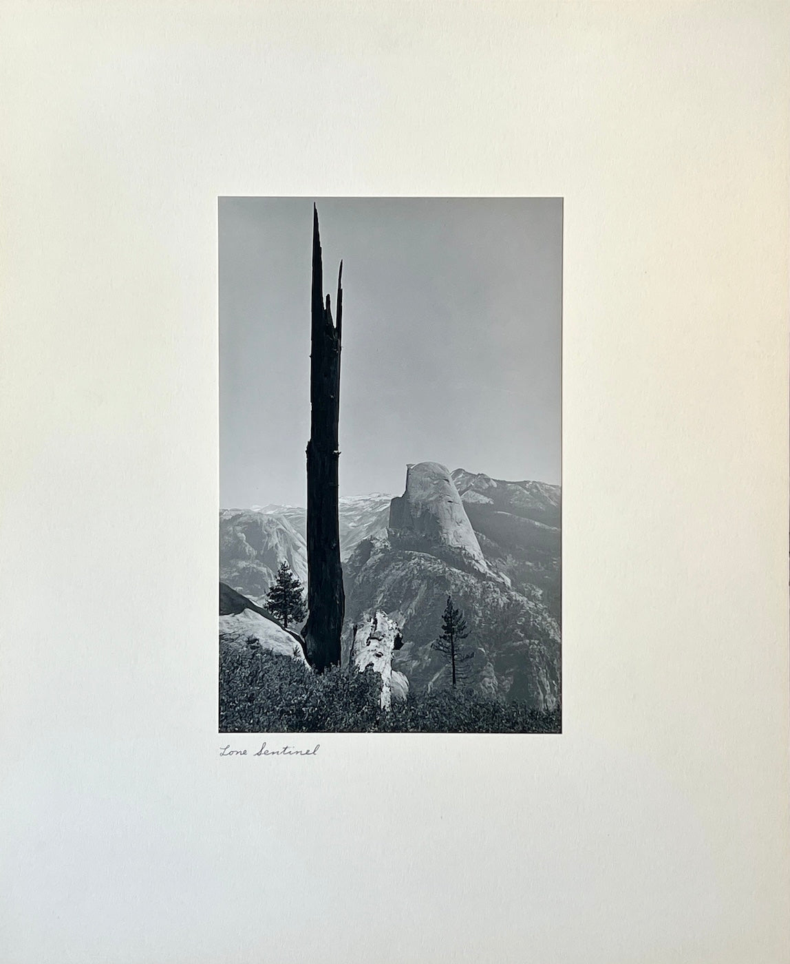 Lone Sentinel by Found Art | Found Art | Poster Child Prints