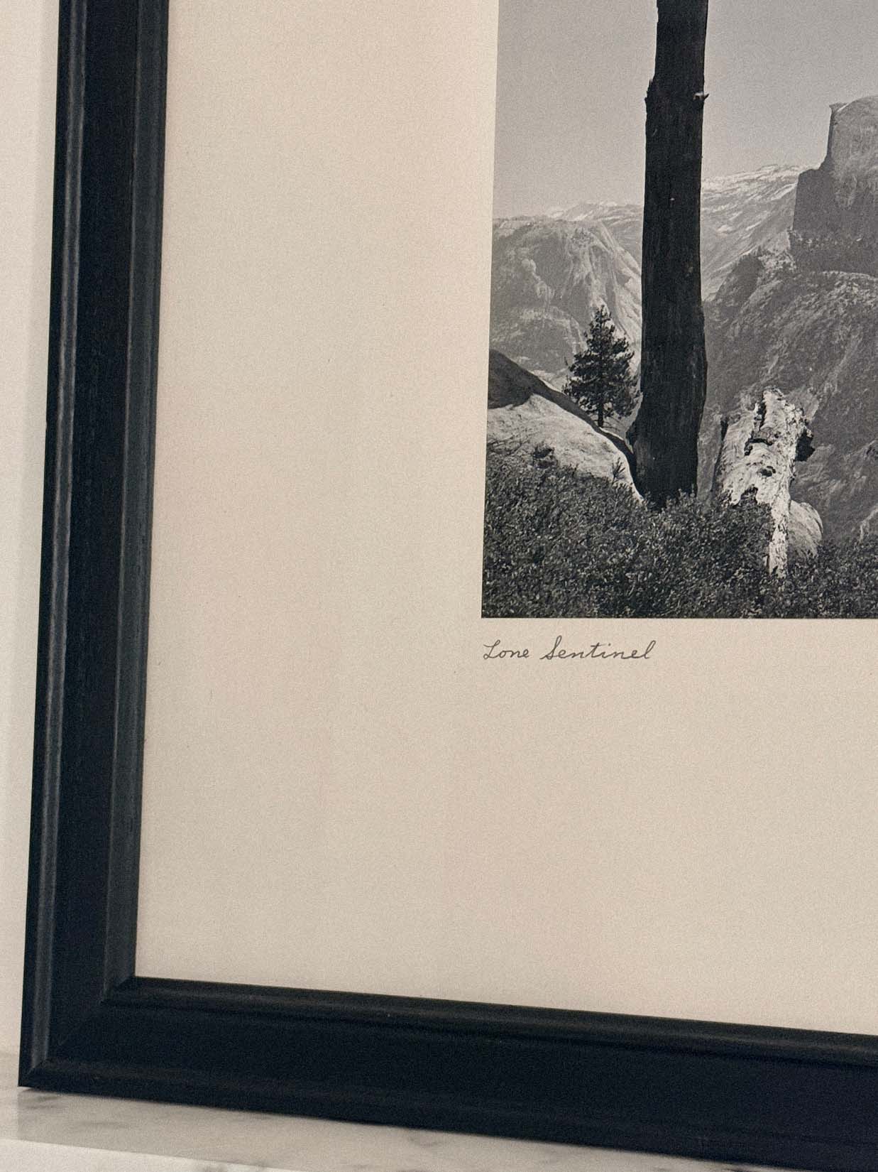 Lone Sentinel by Found Art-Found Art-Poster Child Prints