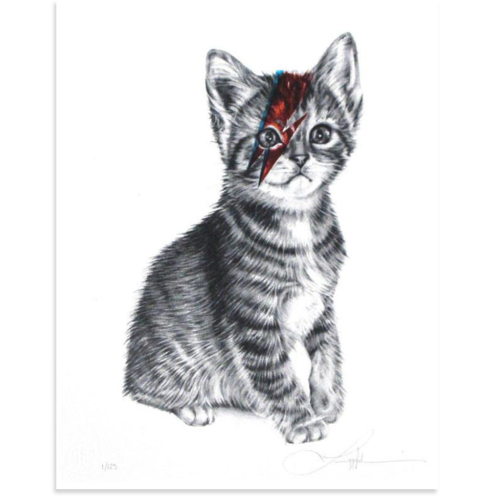 Kitty Stardust by Langley Fox | Print | Poster Child Prints