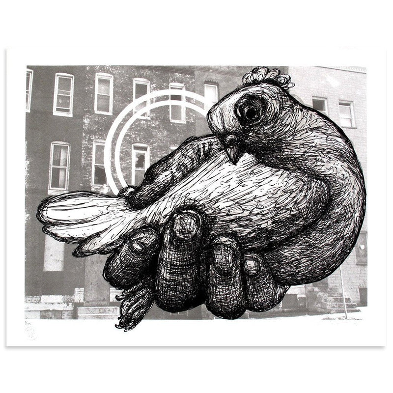 Carrier Pigeon by Gaia | Print | Poster Child Prints
