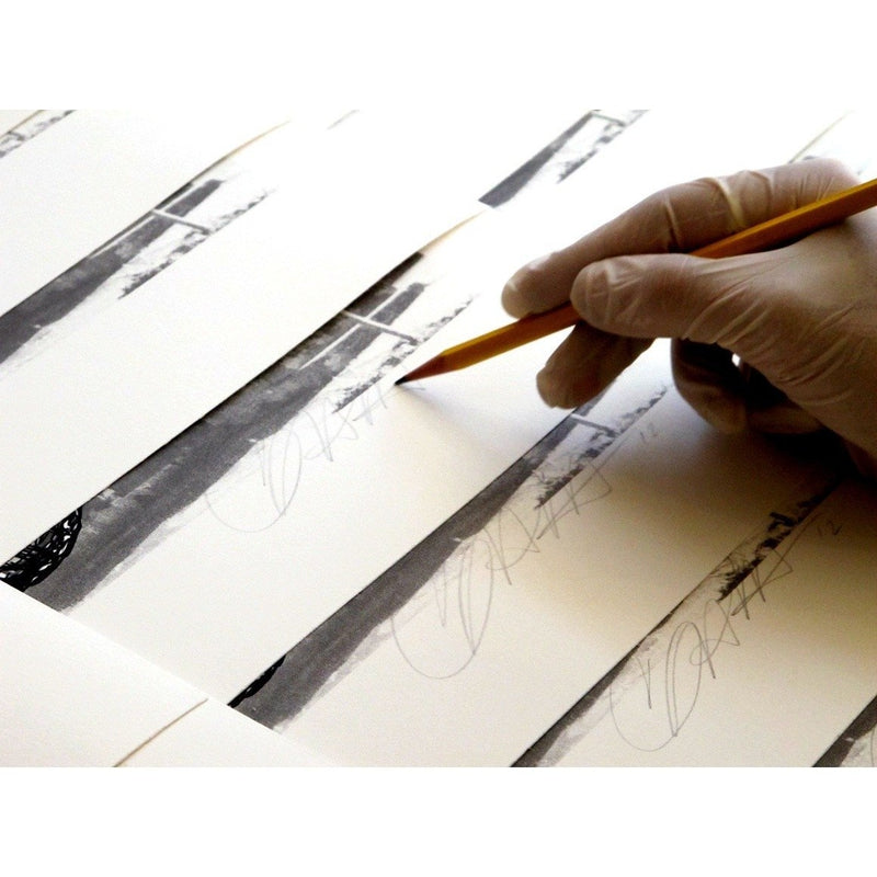 Carrier Pigeon by Gaia | Print | Poster Child Prints