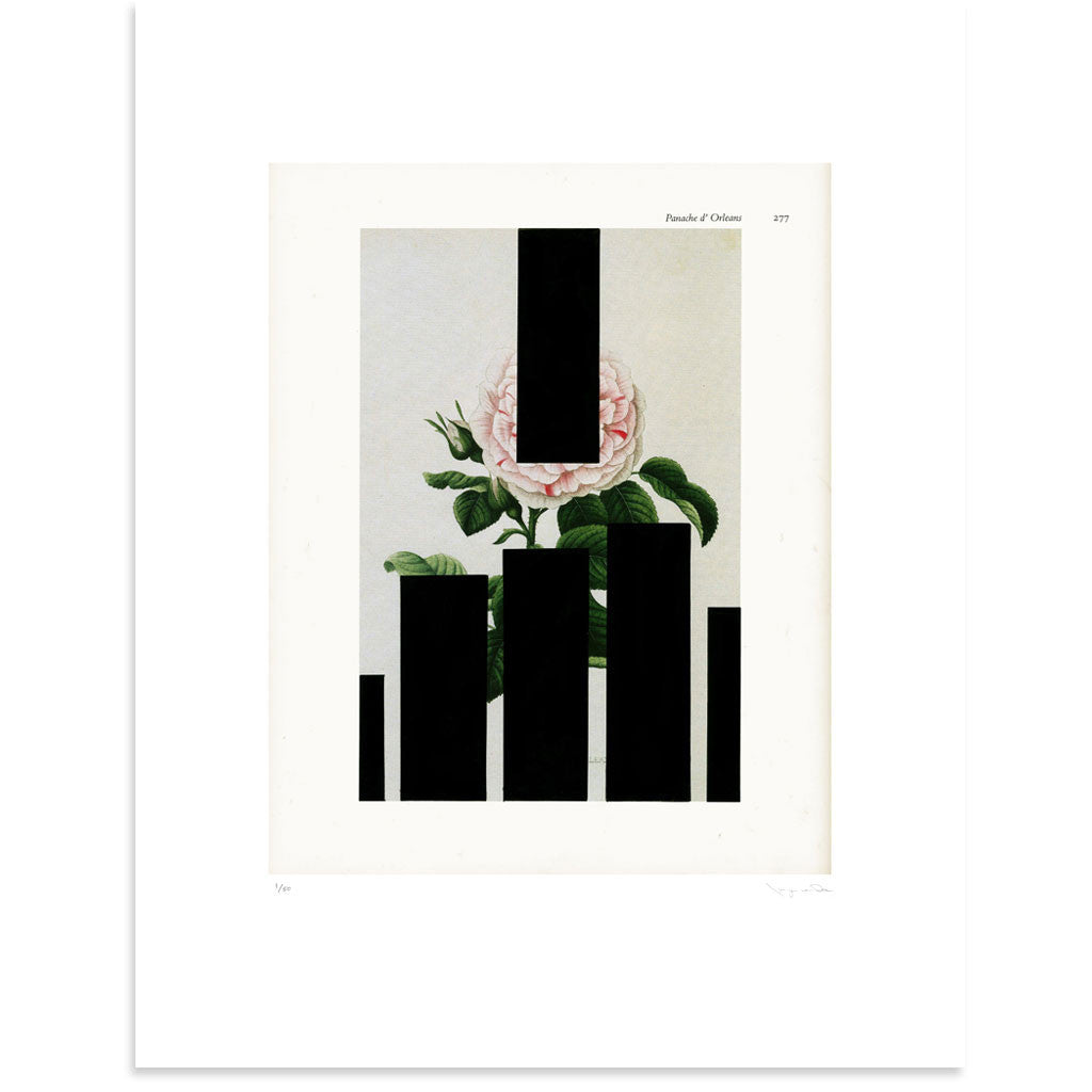 Panache d' Orleans by Tasya van Ree | Print | Poster Child Prints
