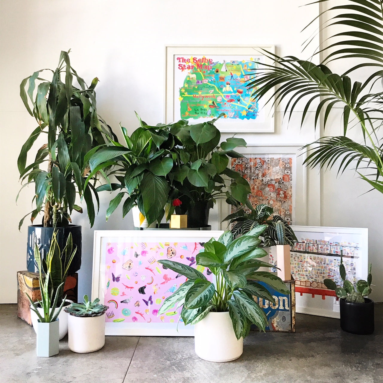 Todd Selby's Limited Editions are Here