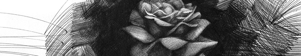 Nathan Kostechko limited edition art prints at Poster Child Prints