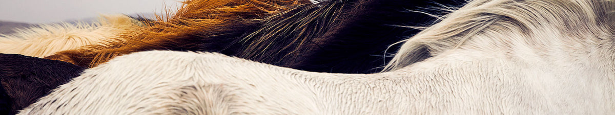 Day 19 limited edition art prints at Poster Child Prints