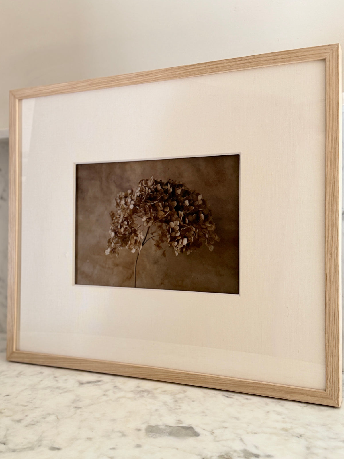 Last Bloom by Found Art-Found Art-Poster Child Prints