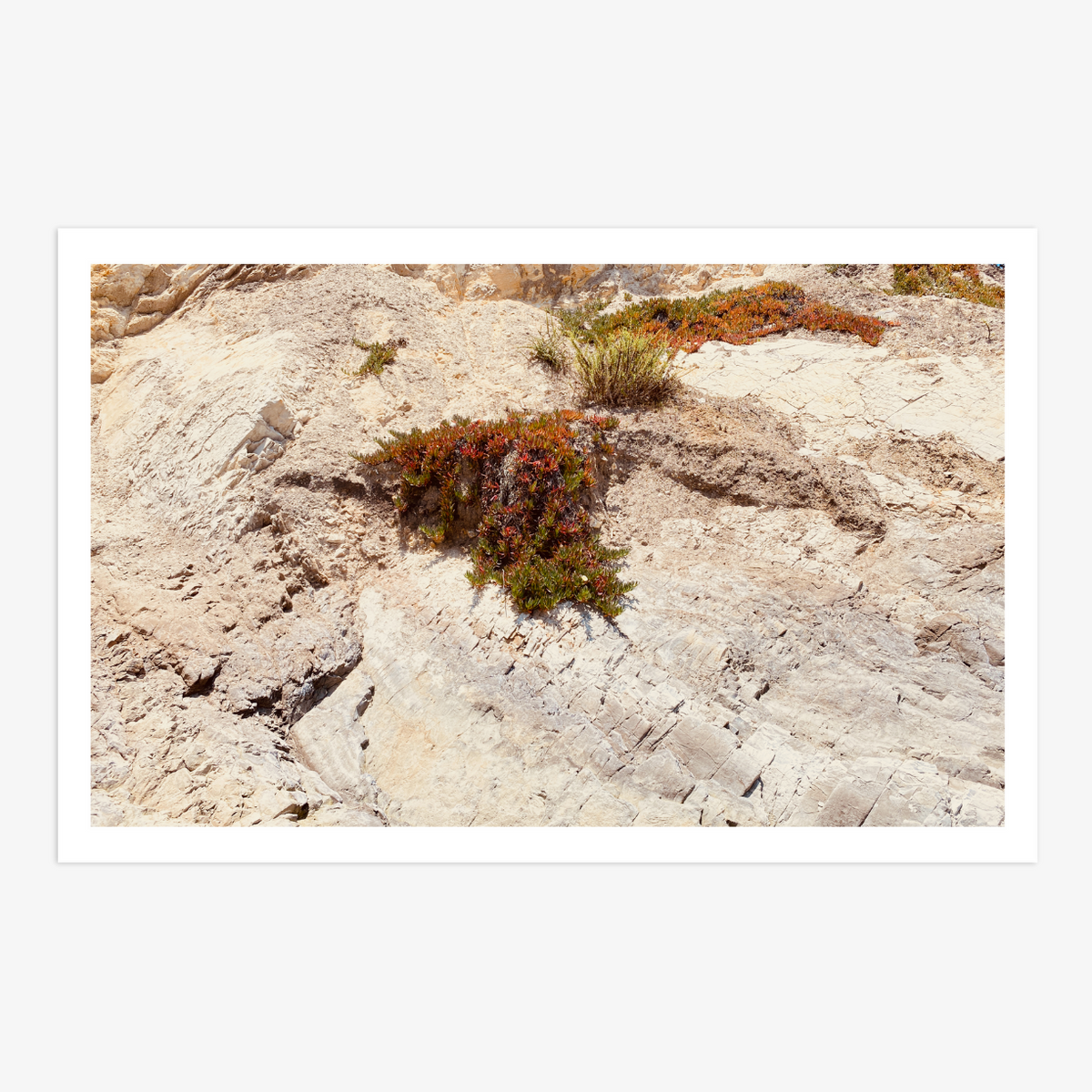 Coastal Terrain by Collection-Studio Editions-Poster Child Prints