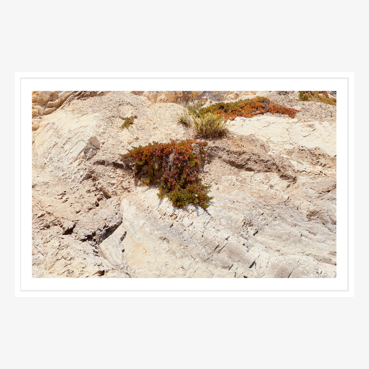 Coastal Terrain by Collection-Studio Editions-Poster Child Prints