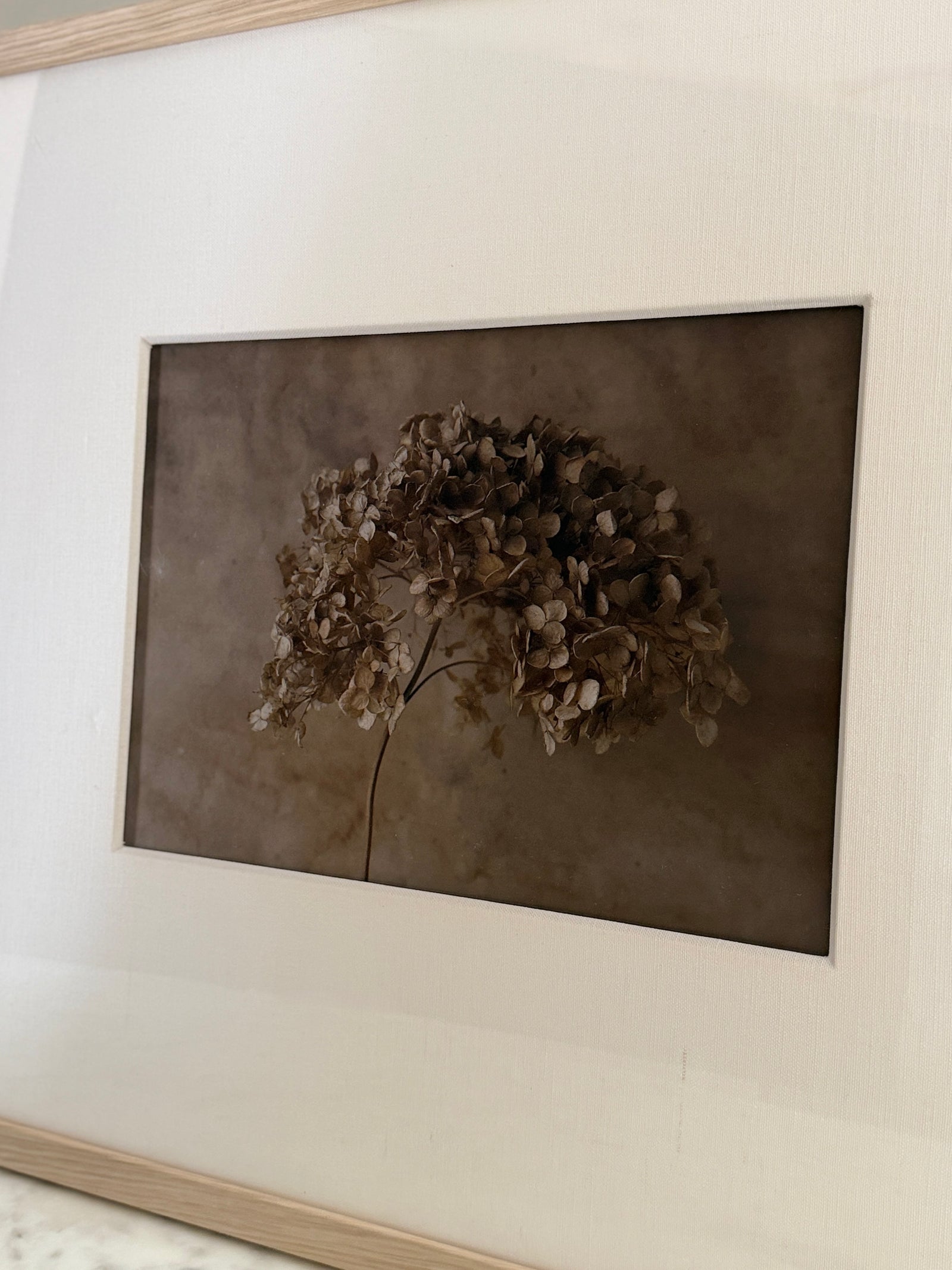 Last Bloom by Found Art-Found Art-Poster Child Prints