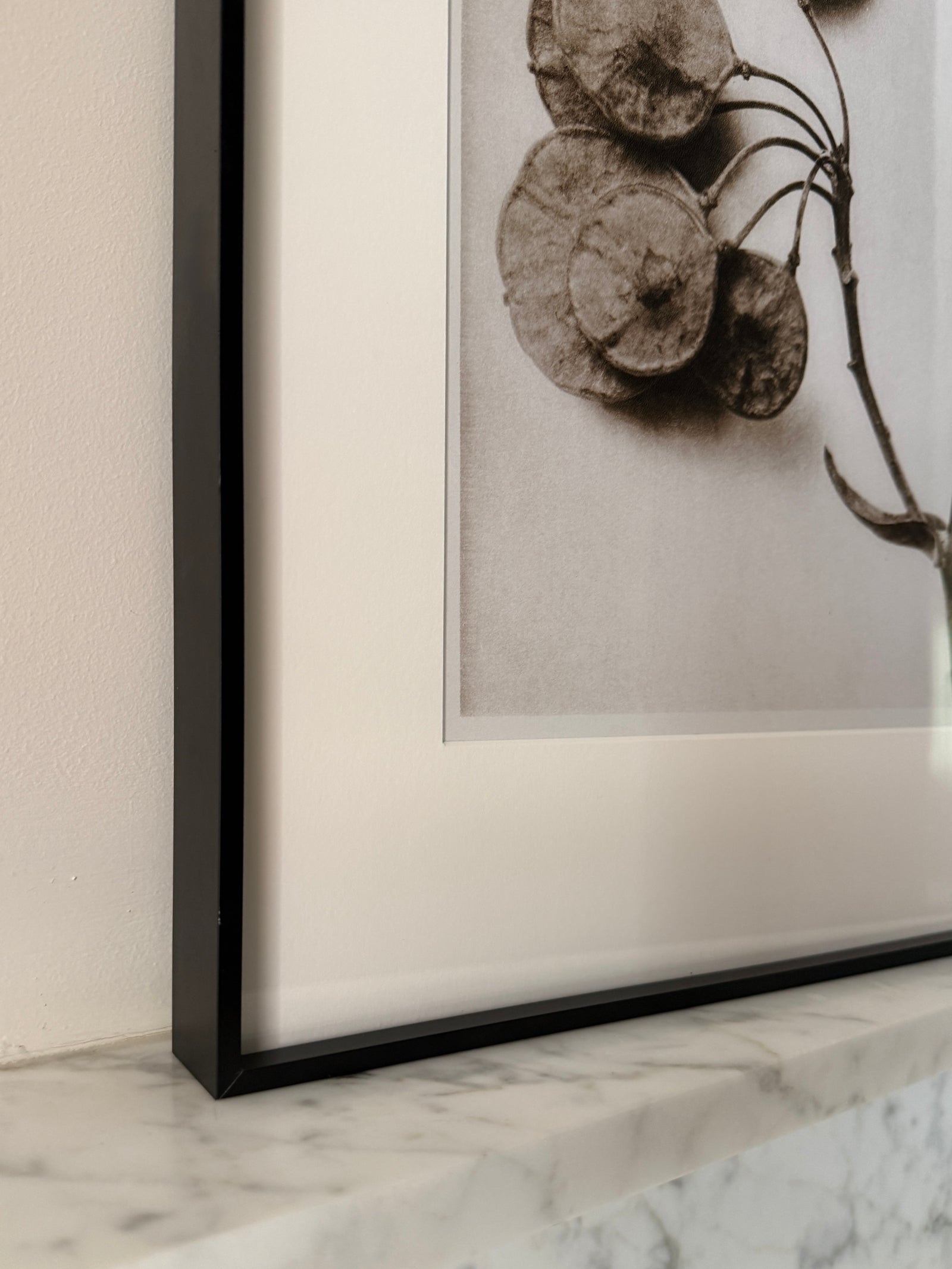 Botanical Relics II by Found Art-Found Art-Poster Child Prints