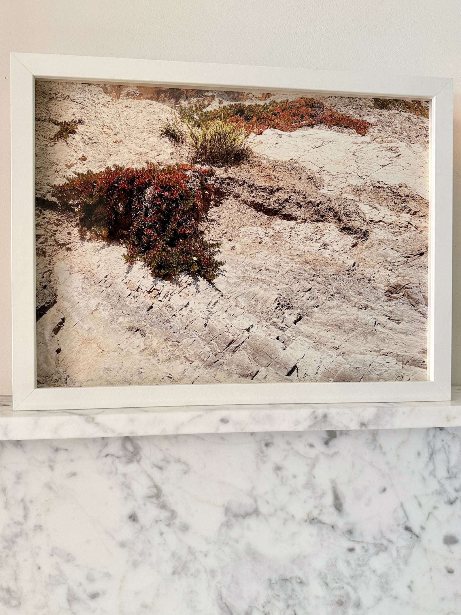 Coastal Terrain, Framed