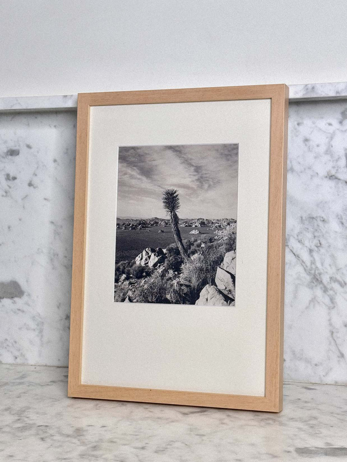 Desert Sentinel by Found Art-Found Art-Poster Child Prints