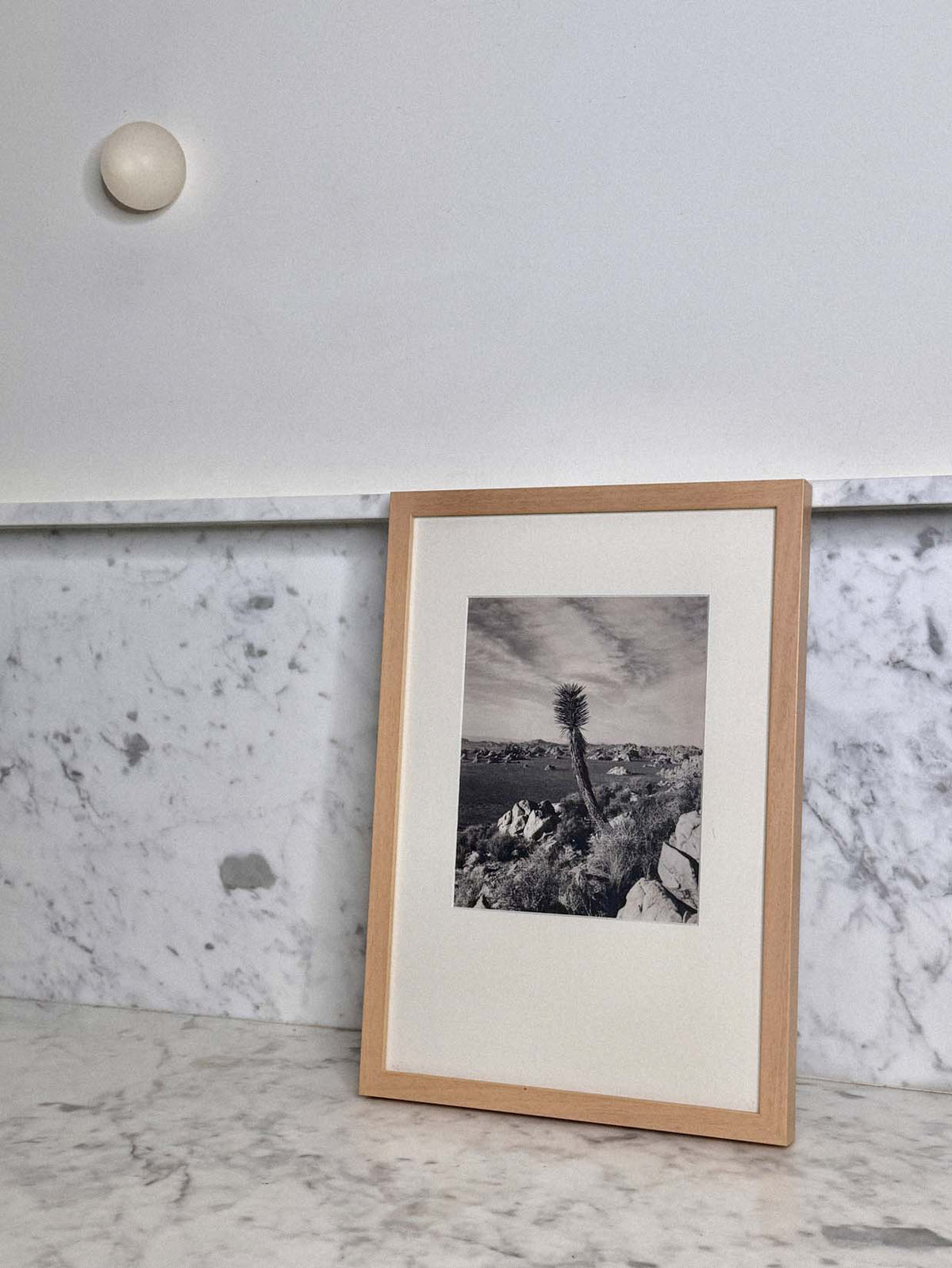 Desert Sentinel by Found Art-Found Art-Poster Child Prints