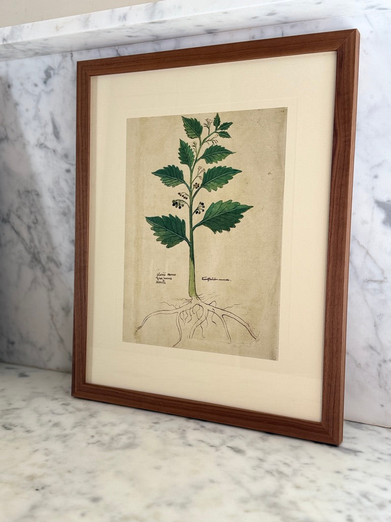 Woodsy Botanicals I by Found Art-Found Art-Poster Child Prints