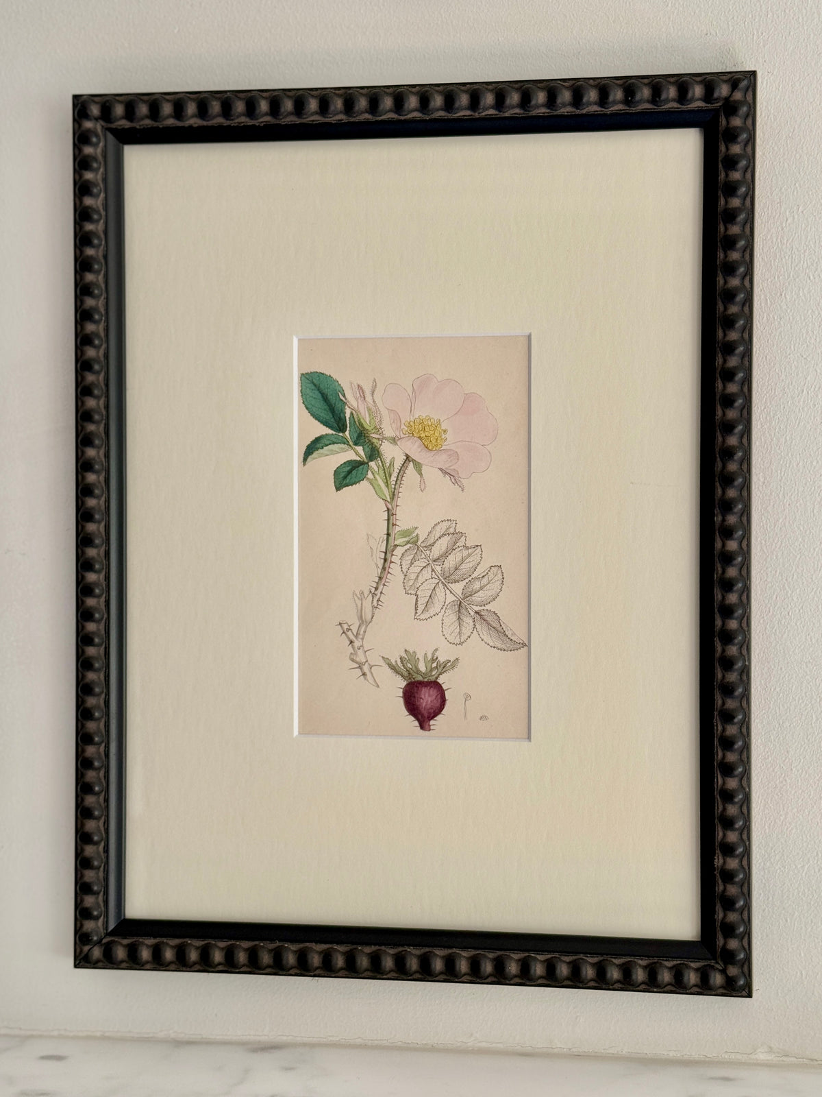 The Pink Bloom by Found Art-Found Art-Poster Child Prints