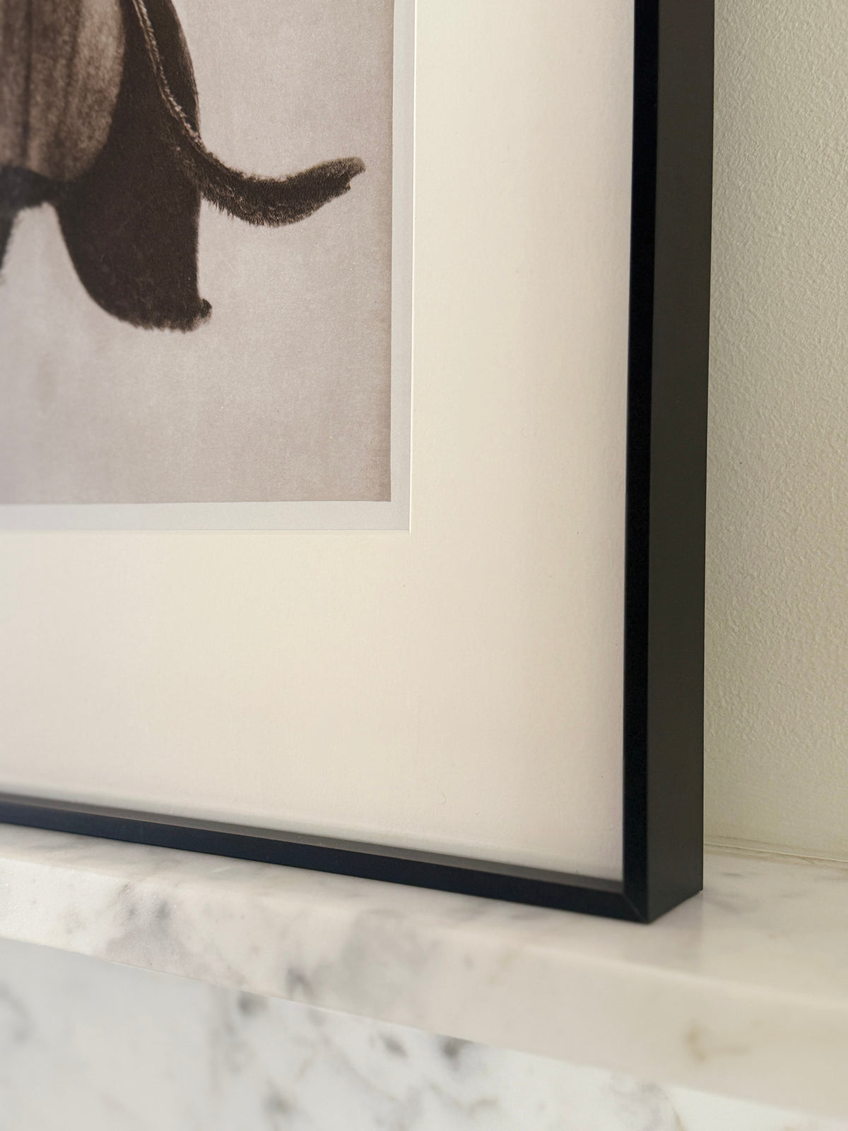 Botanical Relics I by Found Art-Found Art-Poster Child Prints