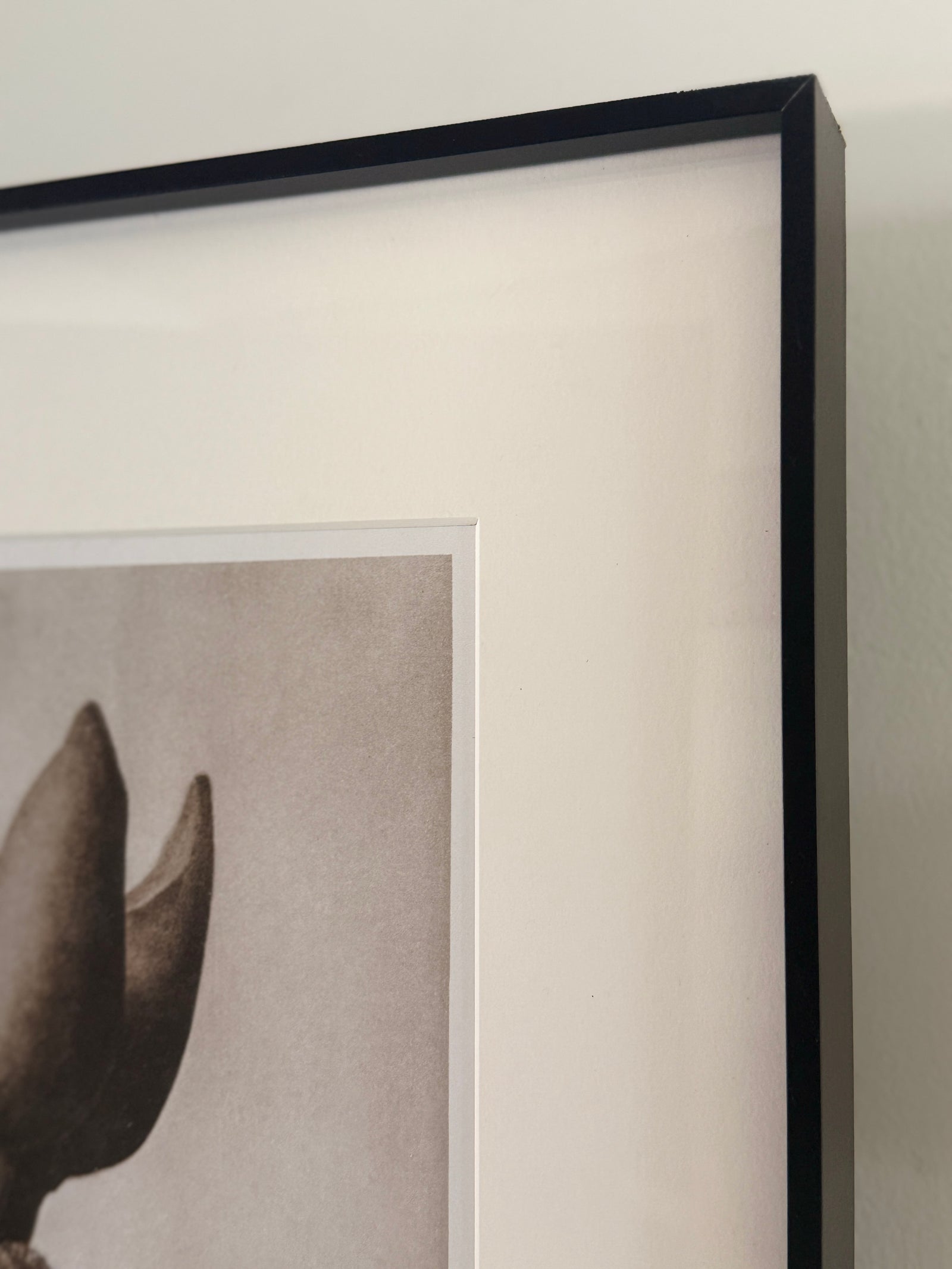 Botanical Relics I by Found Art-Found Art-Poster Child Prints