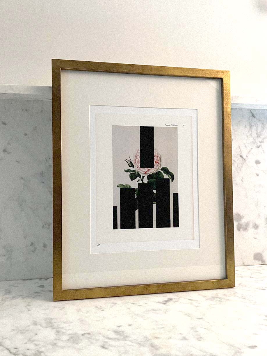 Panache d&#39; Orleans, Framed by Tasya van Ree-Signed &amp; Numbered-Poster Child Prints