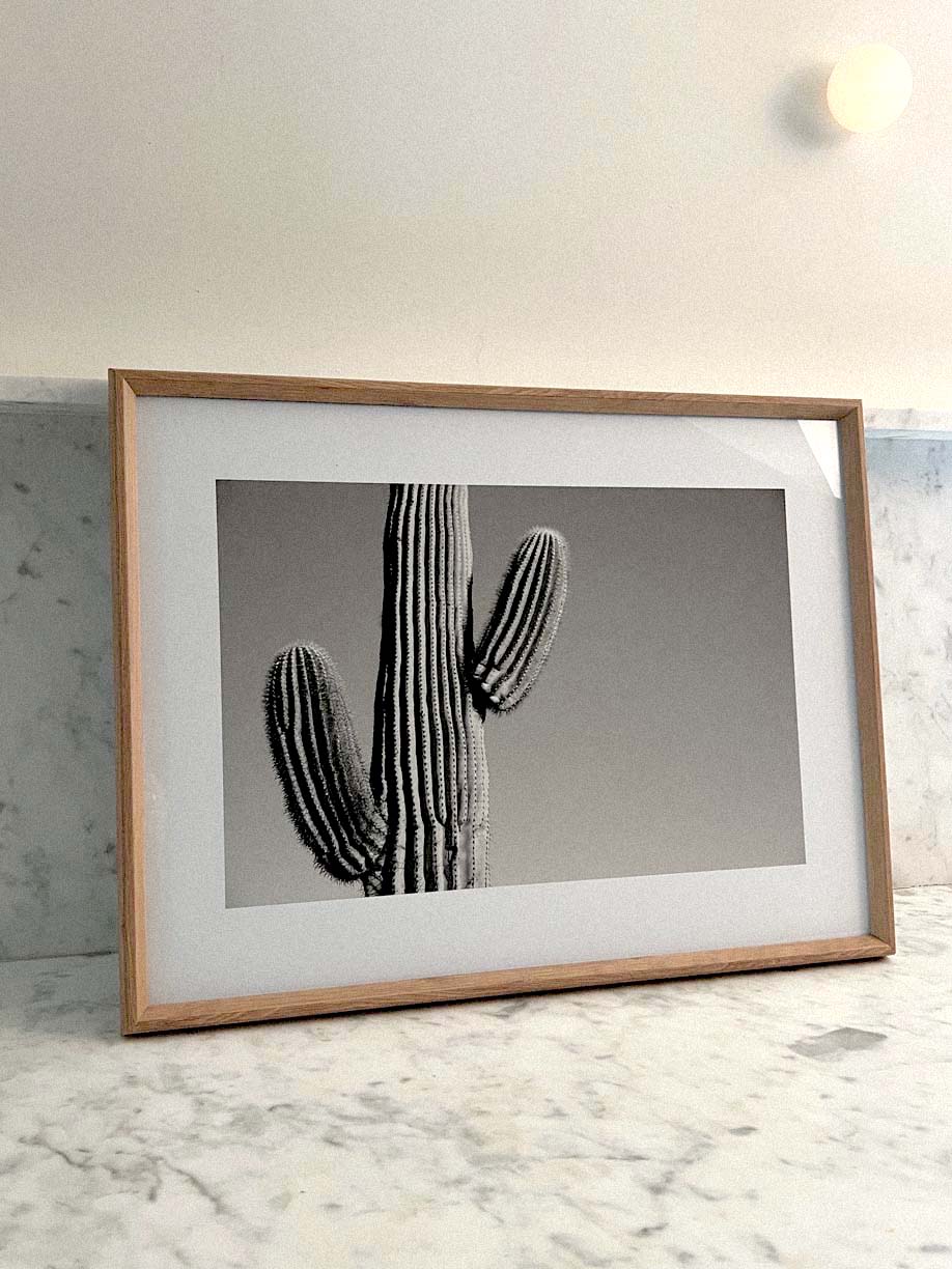 Benson, Framed by Denise Crew-Limited Edition-Poster Child Prints