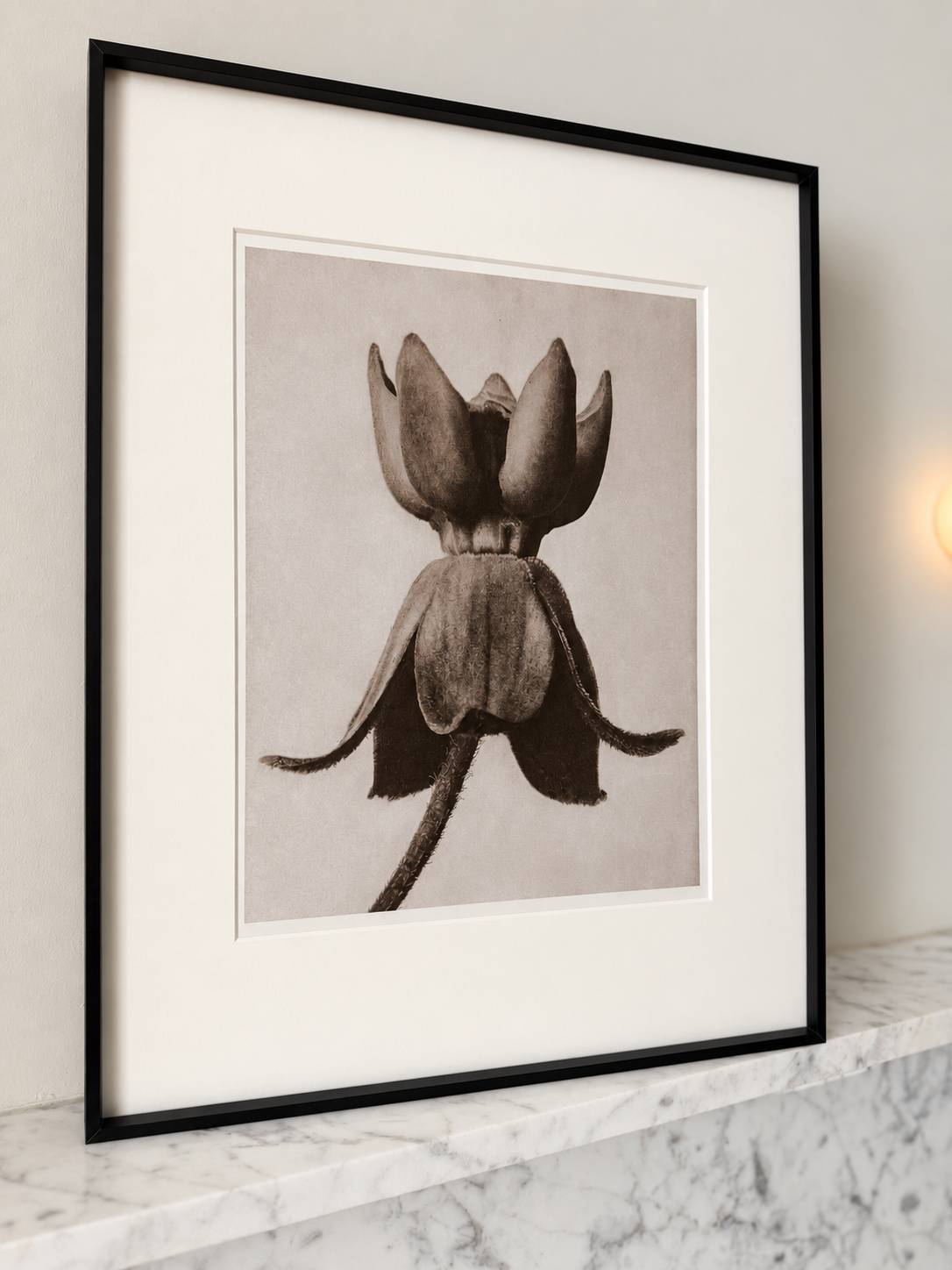 Botanical Relics I