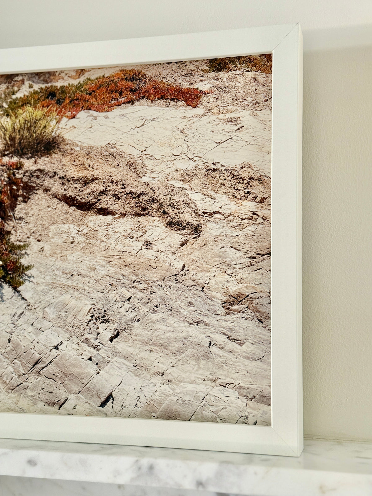 Coastal Terrain, Framed