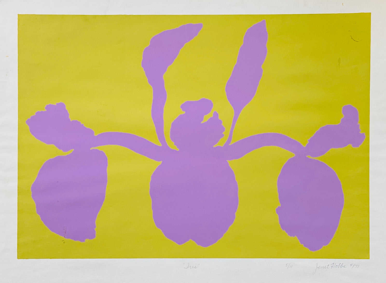 Iris by Found Art-Found Art-Poster Child Prints