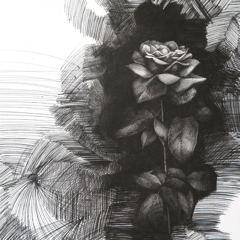 Honey Bunny by Nathan Kostechko | Print | Poster Child Prints