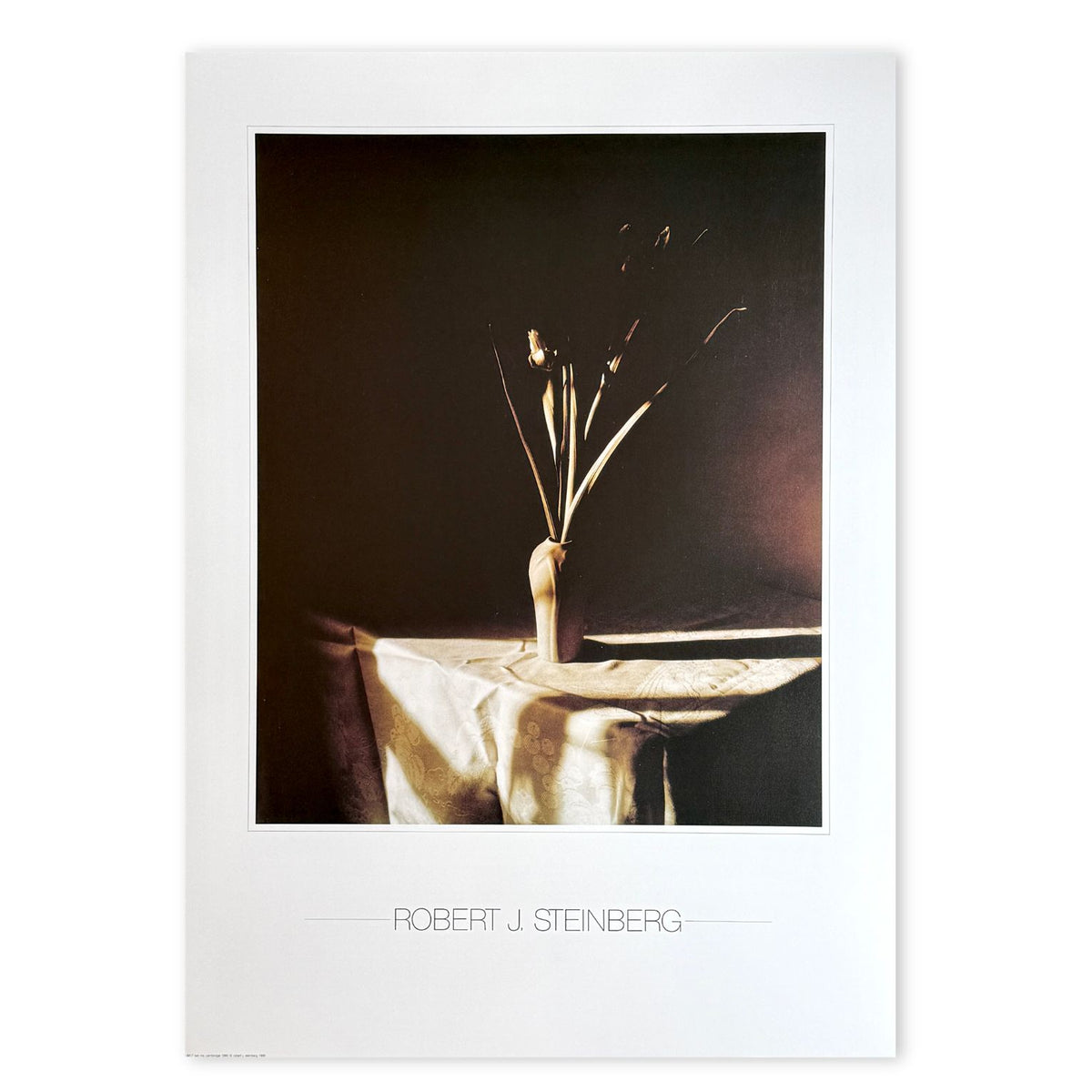 Two Iris by Found Art-Found Art-Poster Child Prints