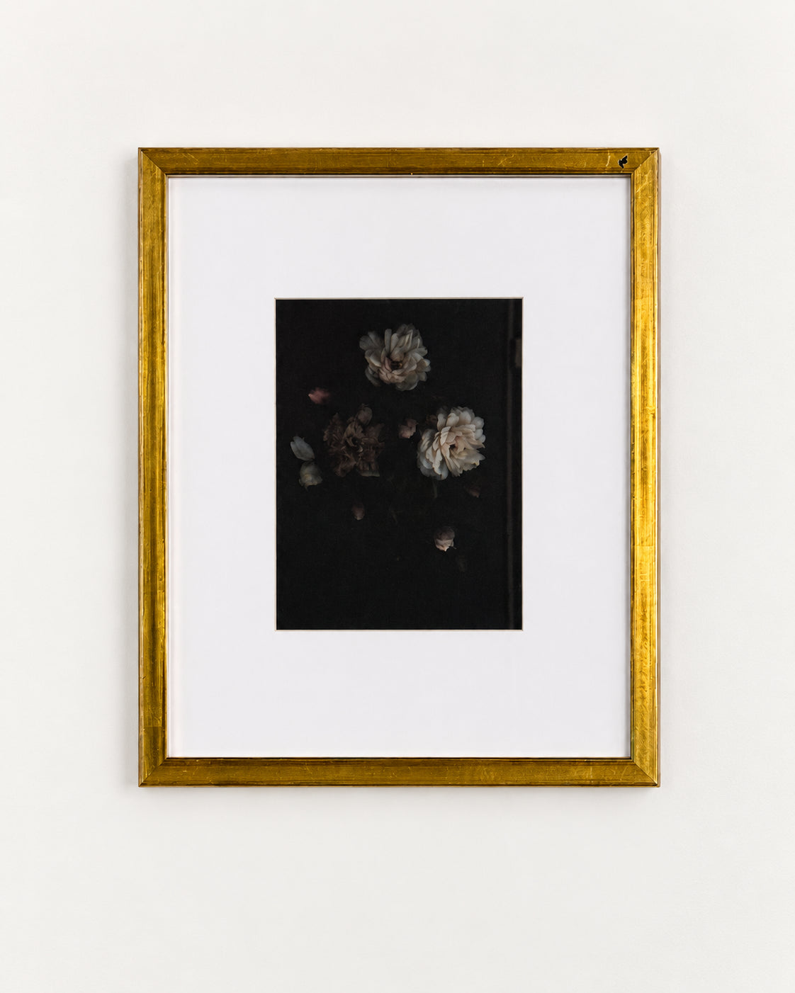 Moody floral photograph of pale blooms on a black ground, matted in a gold leaf frame