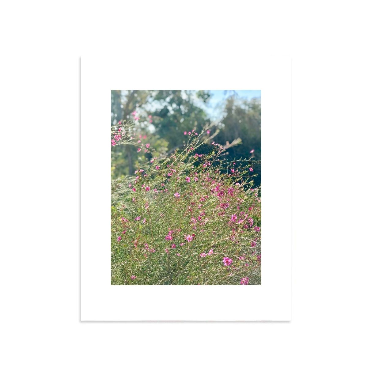 Huntington by PCP Collection-Giclée Print-Poster Child Prints