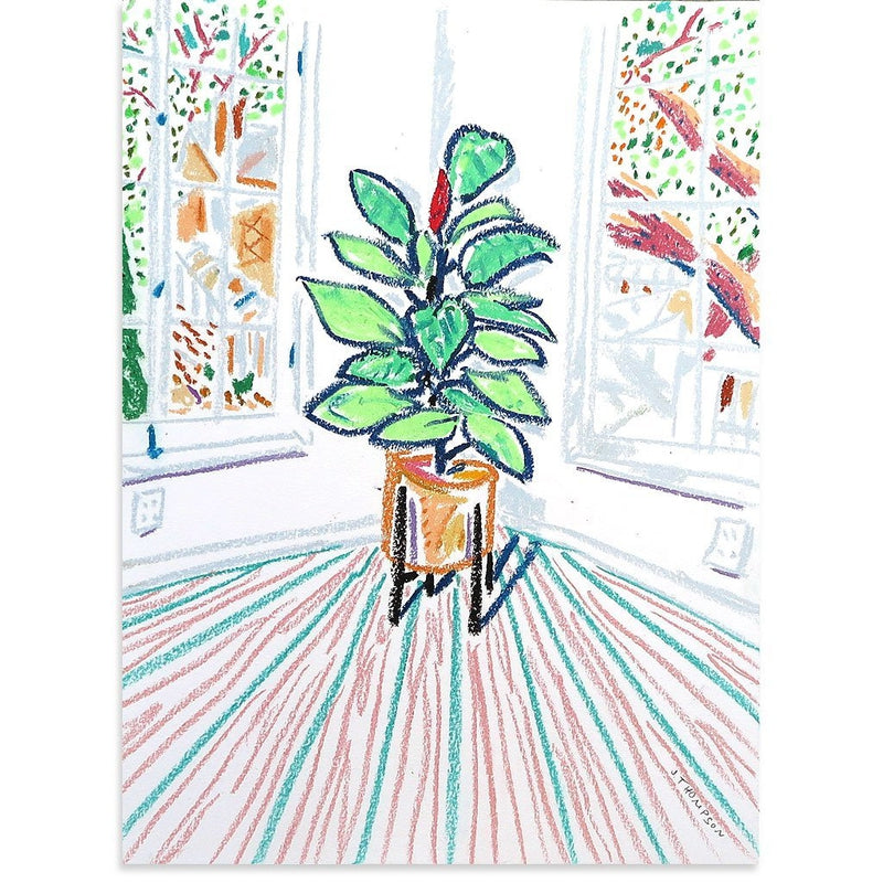 New Plant in the Corner by Jimmy Thompson | Original Artwork | Poster Child Prints