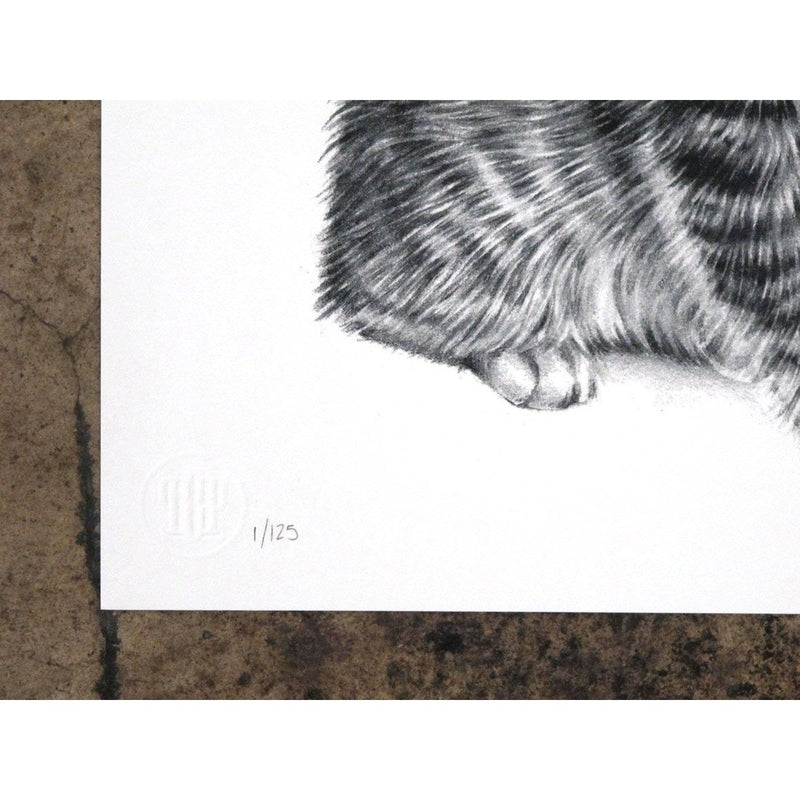 Kitty Stardust by Langley Fox | Print | Poster Child Prints