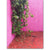 Pink Wall Two by PCP Collection | Print | Poster Child Prints