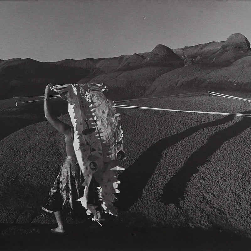 Warrior Movement by Found Art | Found Art | Poster Child Prints