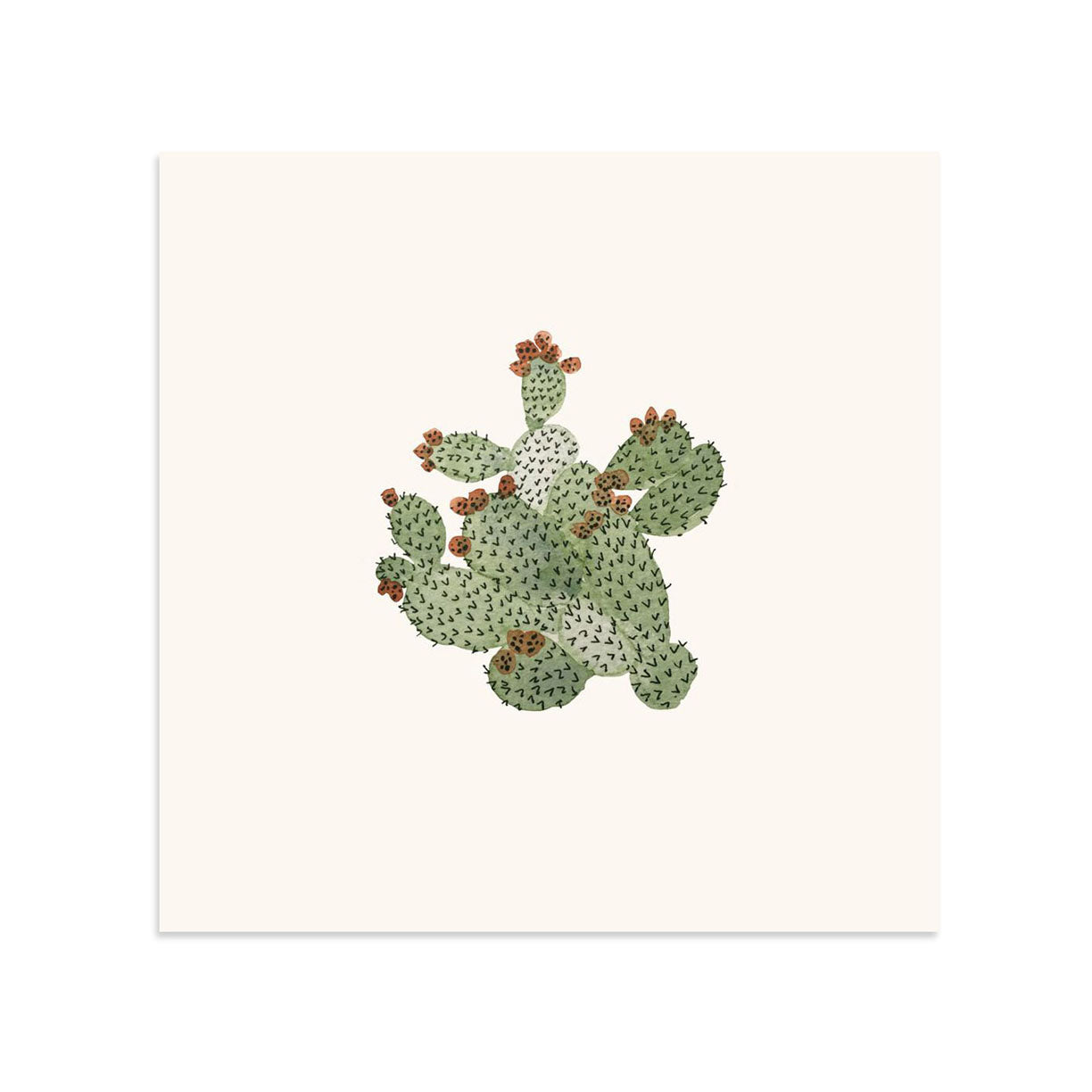 Barbary Fig by Sara Combs | Print | Poster Child Prints