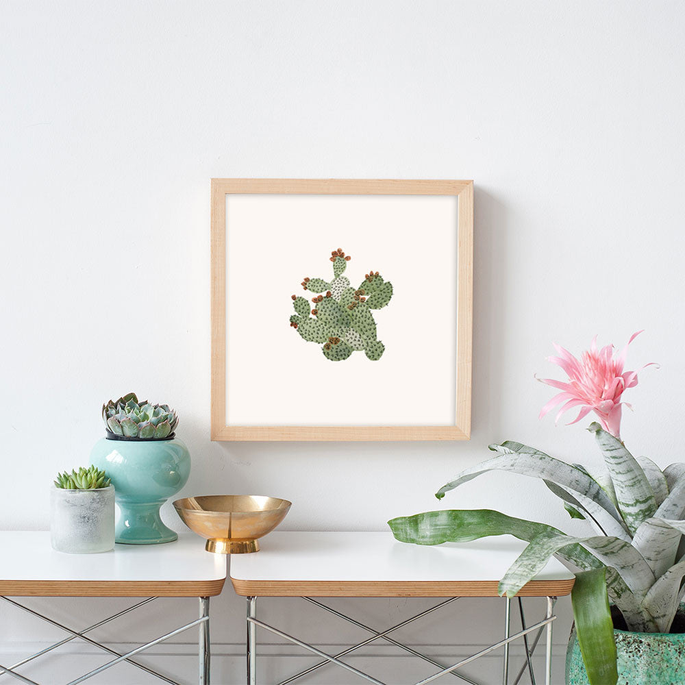 Barbary Fig by Sara Combs | Print | Poster Child Prints