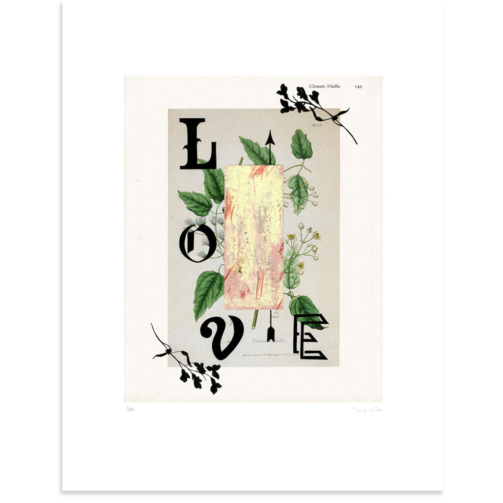 Clematis Vitalba by Tasya van Ree | Print | Poster Child Prints