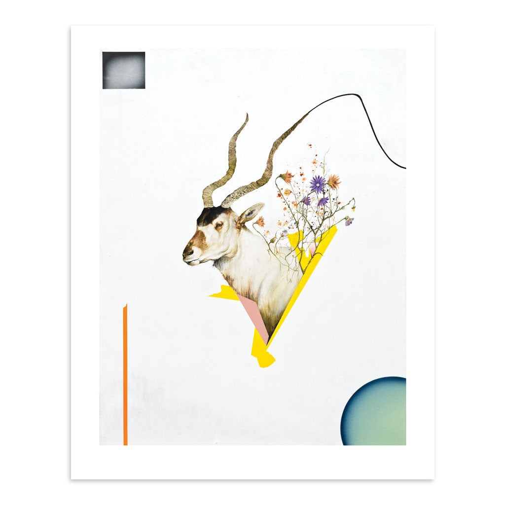 Corsage by Kevin E. Taylor | Print | Poster Child Prints