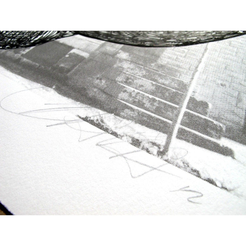 Carrier Pigeon by Gaia | Print | Poster Child Prints