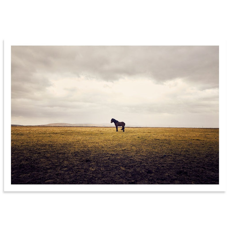 Iceland 2 by Day 19 | Print | Poster Child Prints