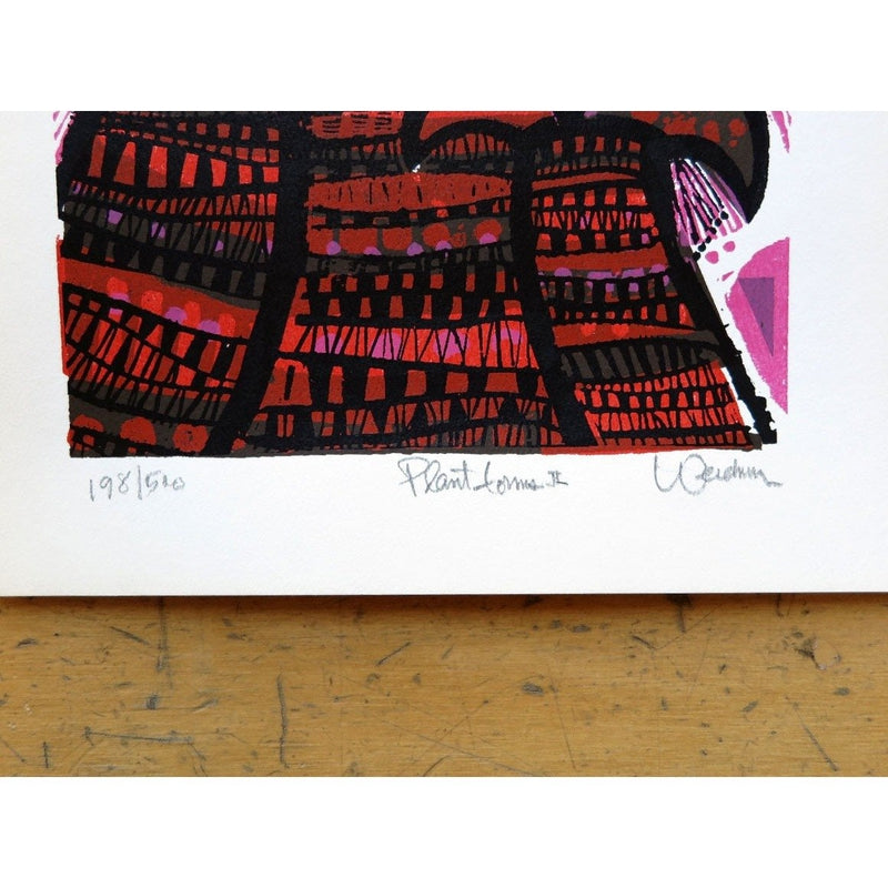 Plant Forms II by David Weidman | Print | Poster Child Prints