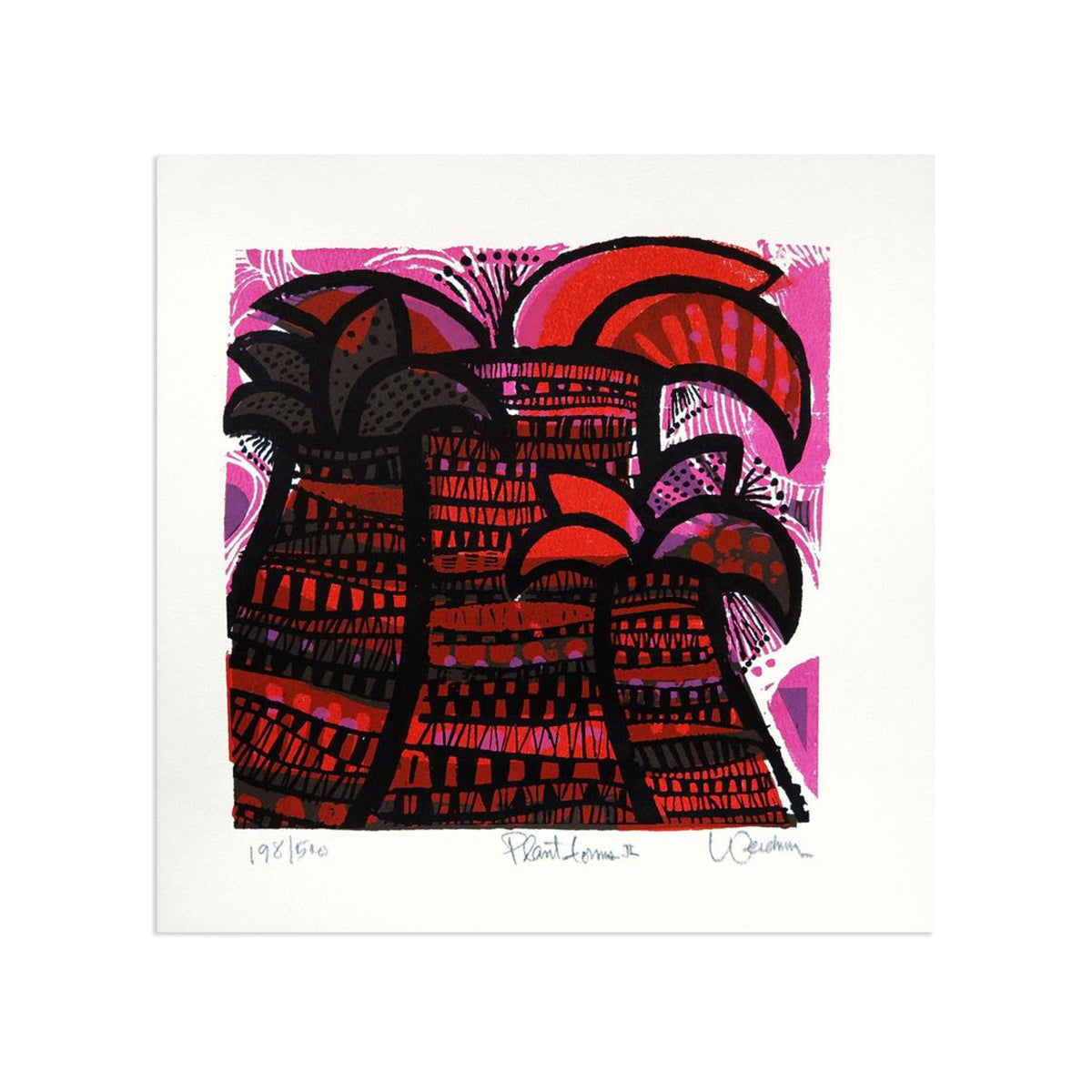 Plant Forms II by David Weidman | Print | Poster Child Prints