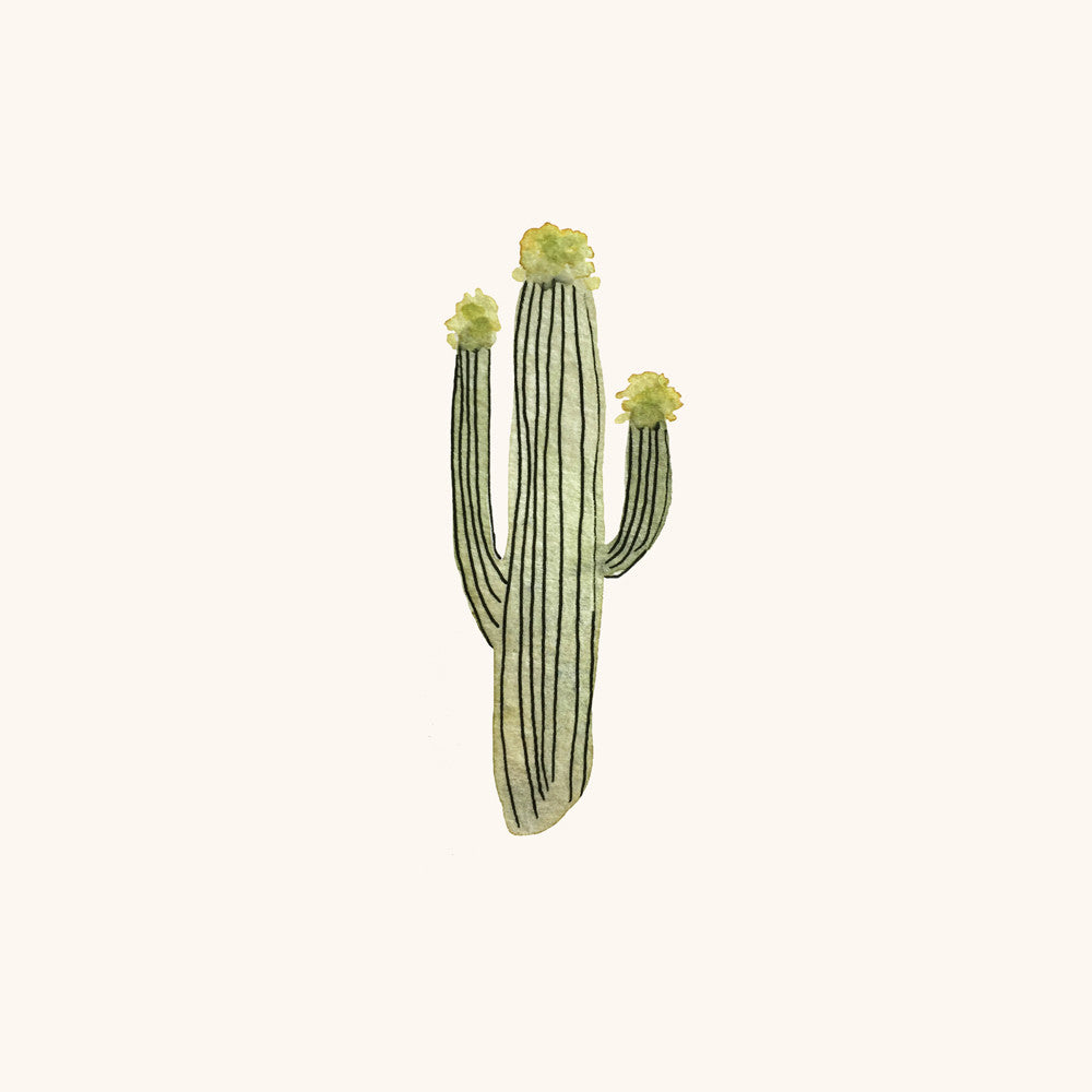 Saguaro by Sara Combs | Print | Poster Child Prints
